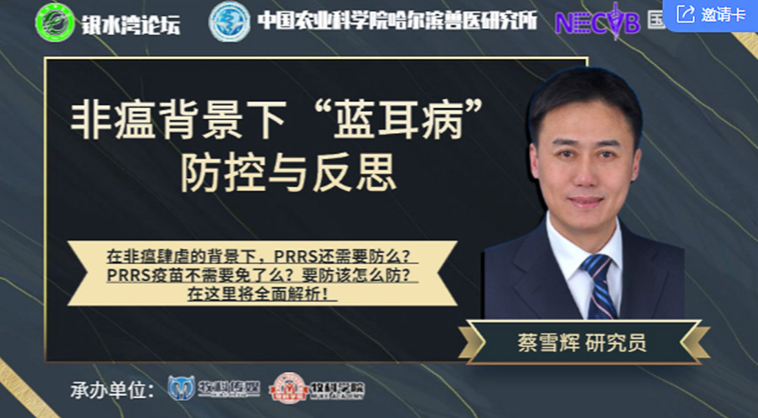 1597653010544739.jpg 04-1.jpg