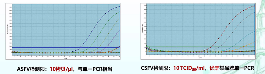 1597656661135722.jpg 2-6.jpg