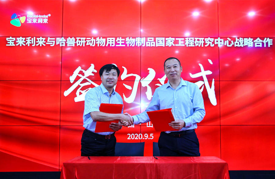 1599611433728657.jpg 1599540991101791.jpg