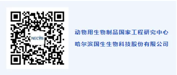 1721799947666562.png 9.png